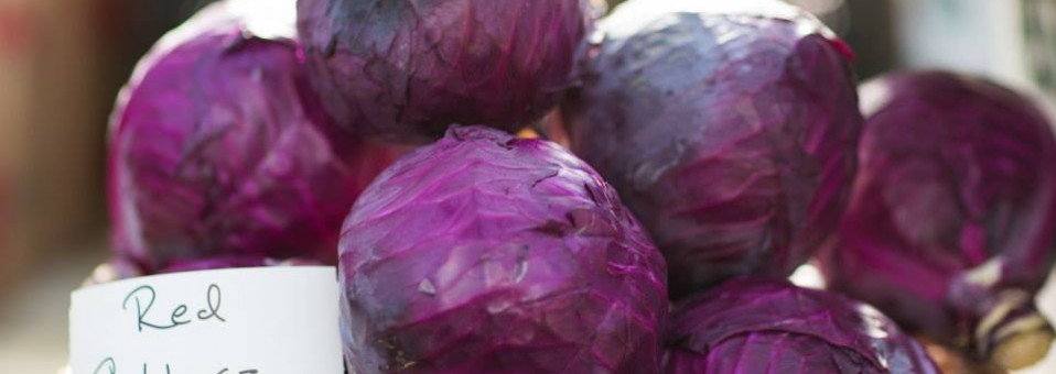 Sprouting Farms Project